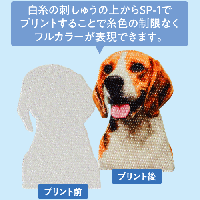 ブラザー 昇華転写プリンター「SP-1」
