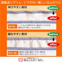 【店頭展示機】ベビーロック　衣縫人　BL57EXS　2本針4本糸ロックミシン 『3年保証』付+送料無料